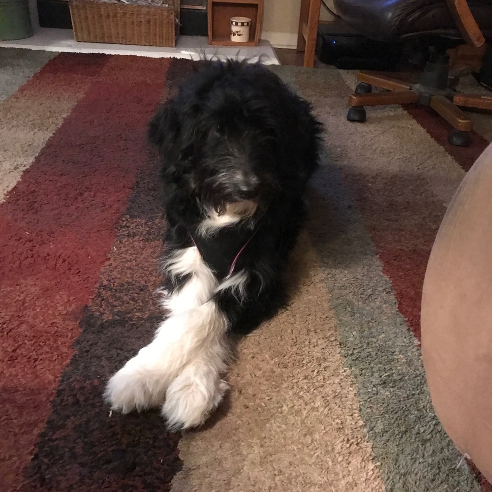 Meet your Posher, Nancy